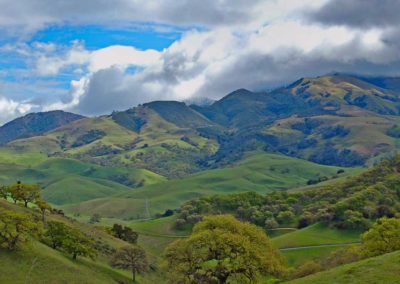 Mt. Diablo Audubon Society