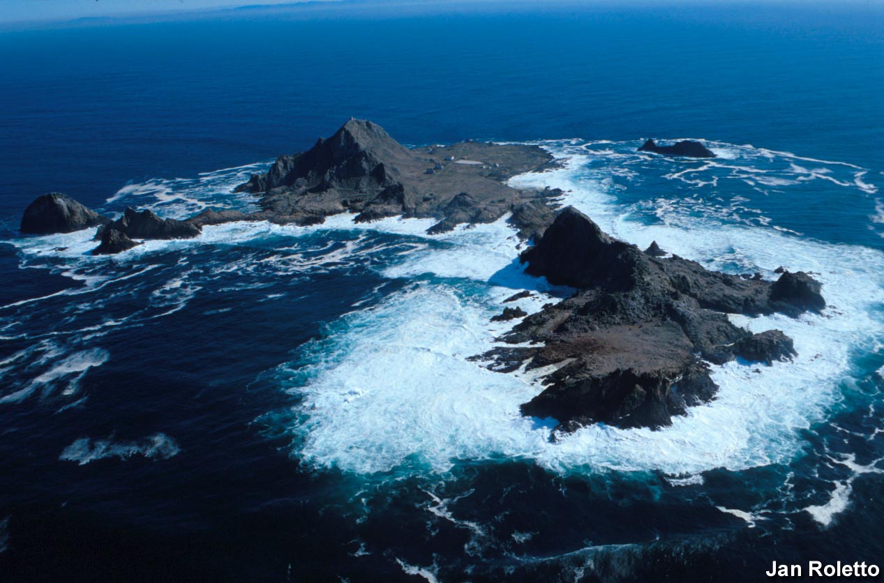 South Farallon Islands. Jan Roleto